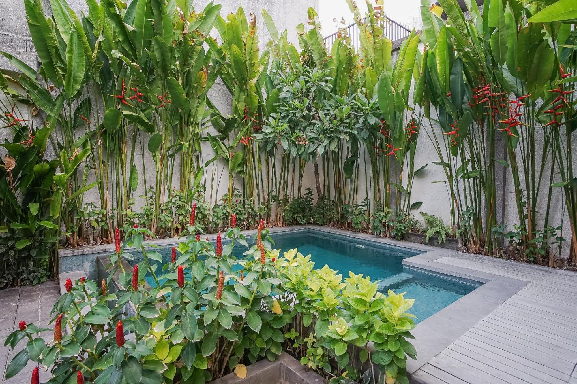 فندق Dee Mansion دنباسار المظهر الخارجي الصورة