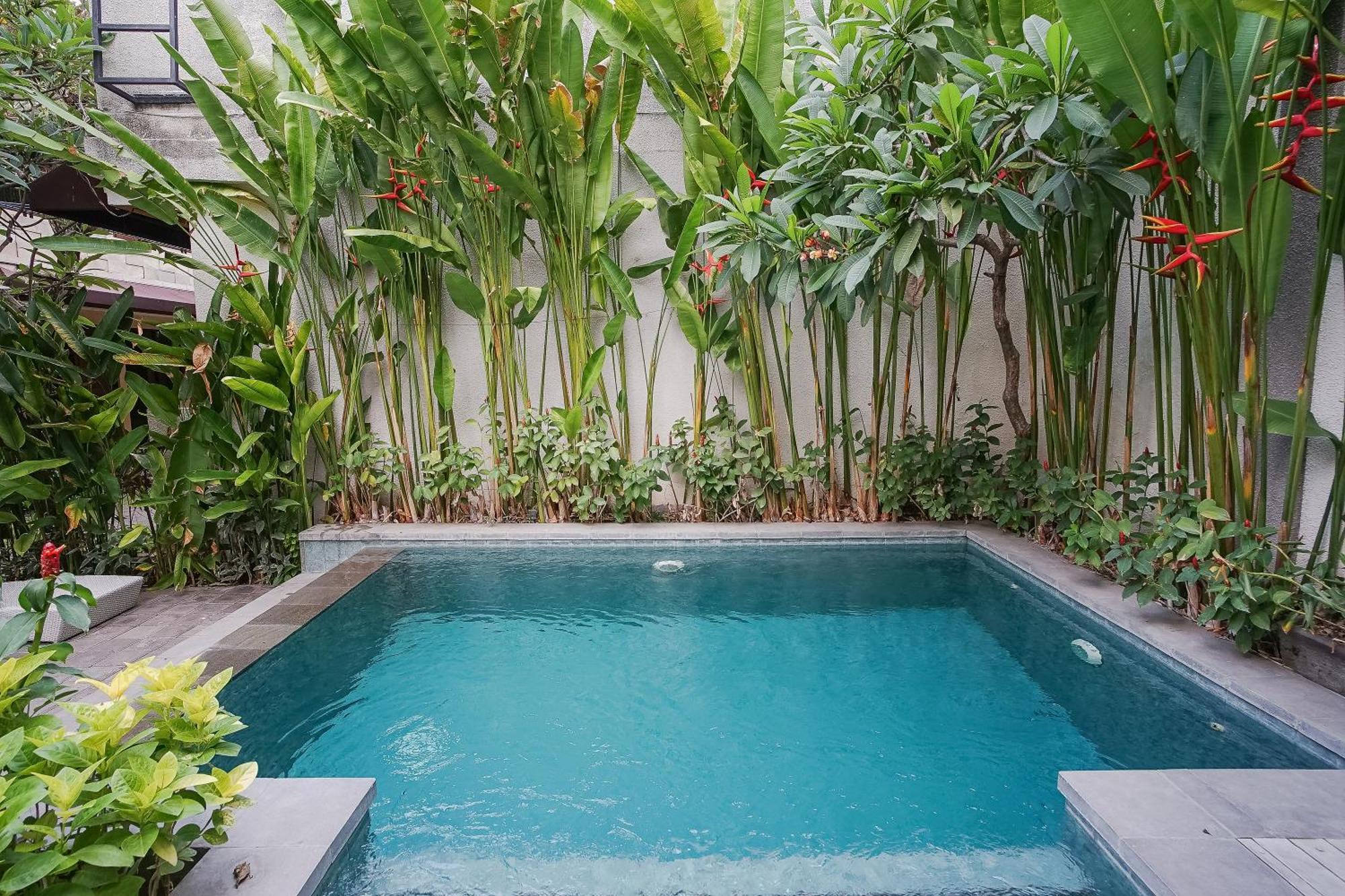 فندق Dee Mansion دنباسار المظهر الخارجي الصورة